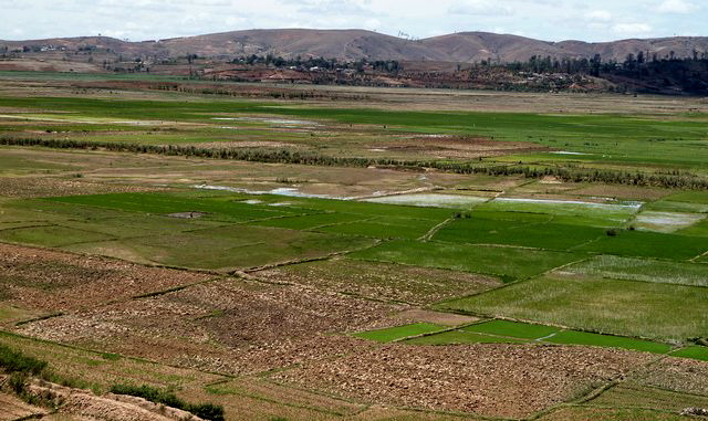 la Fitandambo qui irrigue les marais avant de se jeter dans le lac d' Ampéfy