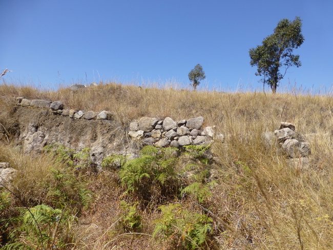 vestiges de murailles et fossés