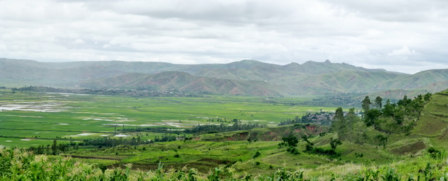 La plaine d' Ifanja , à l'horizon le massif Ambatomanjakabe