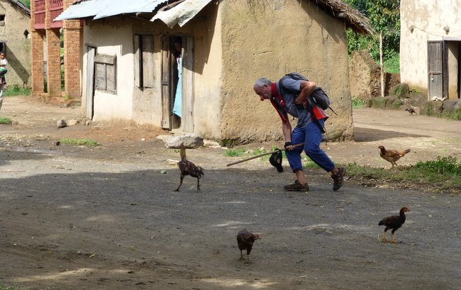 Village de Bengitsy : Thierry court après les poules