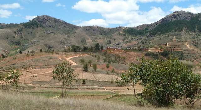 Les massifs d' Angavokely et d' Ambatomborona