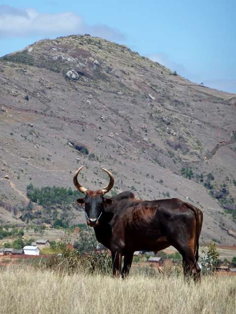 Massif d' Ampananina