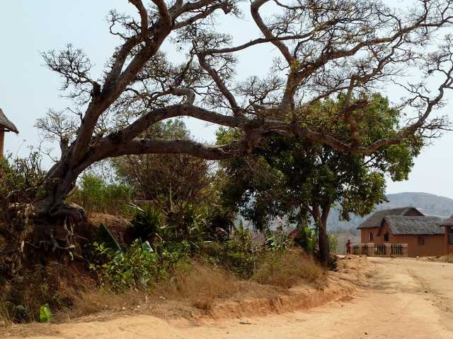 village ANKERIBE et son fossé défensif