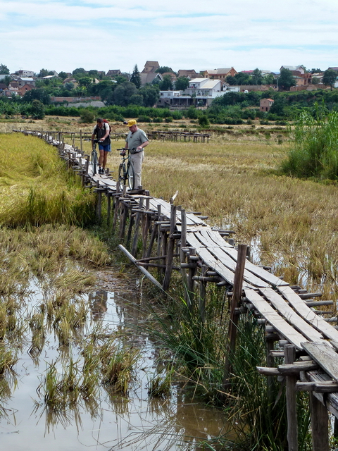 passerelle bois