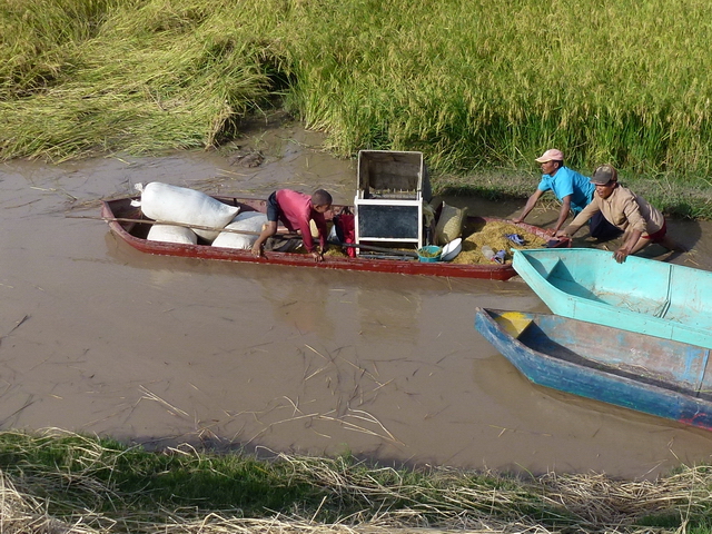 lakana transportant le "fivelesam bary"