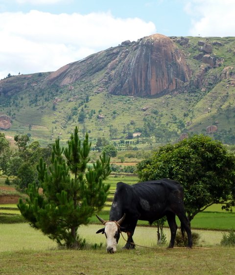 Massif Ambatonandriana