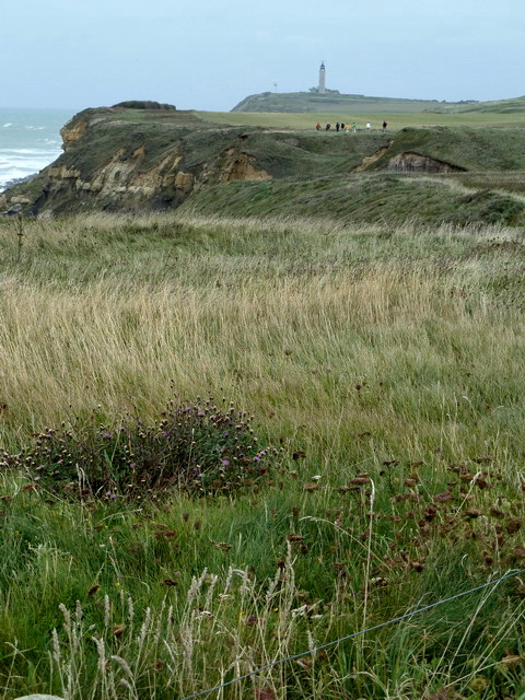 Cap gris nez et sa flore