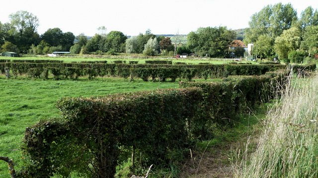 Audenfort, des haies bien entretenues 