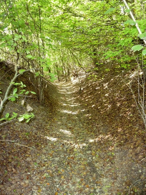 Bois de Tournehem descente sous bois sur Bonningues les Ardres 