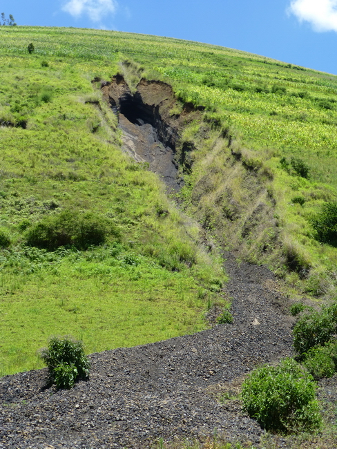 Saignée sur les pentes du volcan