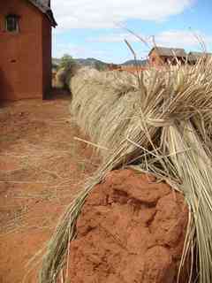 séchage du riz