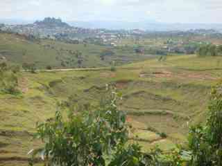 la colline boisée à l' horizon Ambohidratrimo