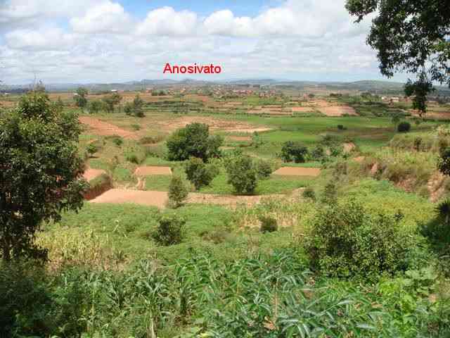 Anosivato vu du village d' Amboasary