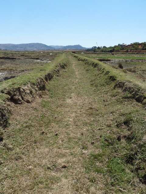 rizières entre Malaza et Lazaina à l'horizon le massif du Langana et la colline d' Ambohimanga 