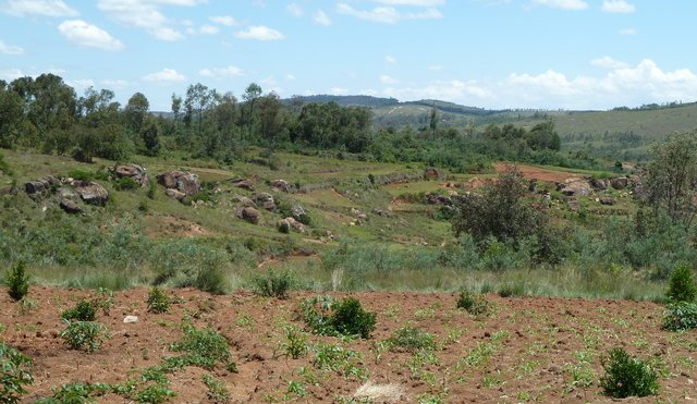 Ambohivatokely 'la colline aux petites pierres'