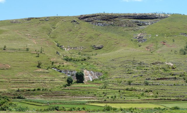 cultures en rizières au pied du massif