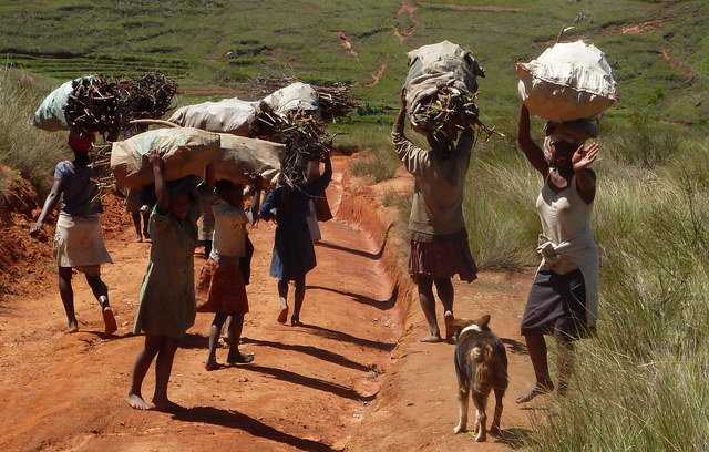 transport du bois