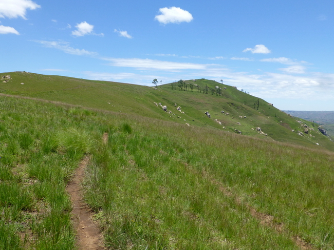 Sommet Ambohitopoana 1584 m