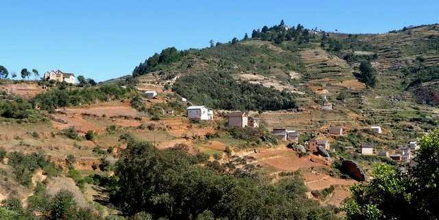 colline boisée