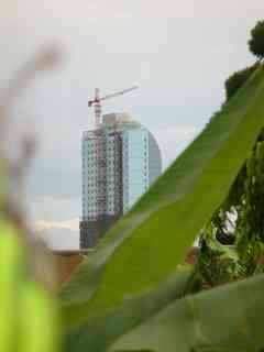 palais des congres 21 07 2008 15h30