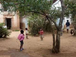 goyave
