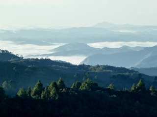 brume du matin